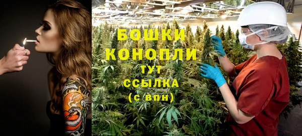 дурь Магас