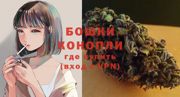 дурь Магас