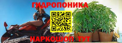 хмурый Малгобек
