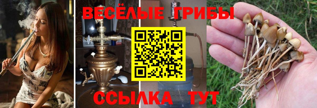 Псилоцибиновые грибы мухоморы  Вход с VPN  Сочи 